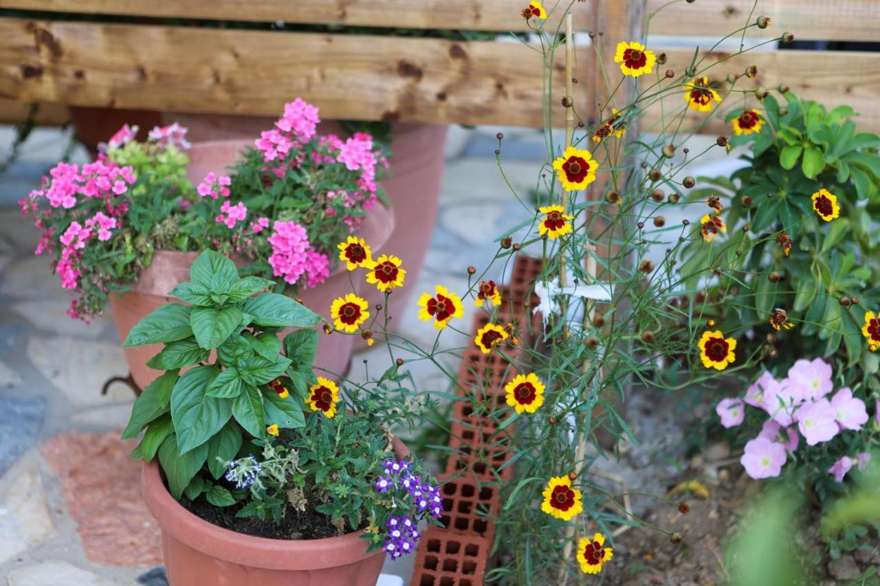 Christina's House By Guestcorfu
